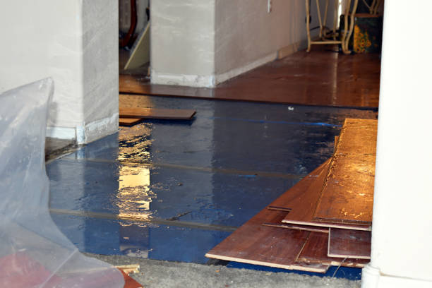 Professional Flood Damage Restoration technician working in Thornwood, NY